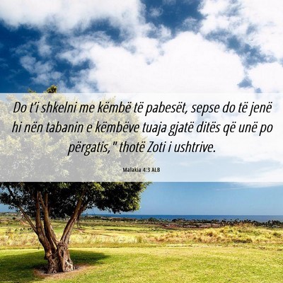 Picture 06 - Malakia 4:3 ALB - Do t’i shkelni me këmbë të pabesët, sepse - Bible Verse Picture