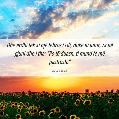 Picture 06 - Marku 1:40 ALB - Dhe erdhi tek ai një lebroz i cili, duke iu - Bible Verse Picture