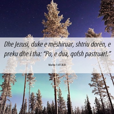 Picture 06 - Marku 1:41 ALB - Dhe Jezusi, duke e mëshiruar, shtriu dorën, e - Bible Verse Picture