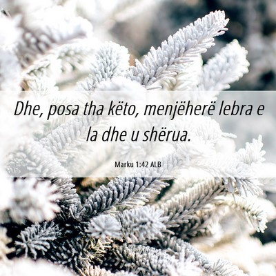 Picture 06 - Marku 1:42 ALB - Dhe, posa tha këto, menjëherë lebra e la dhe u - Bible Verse Picture