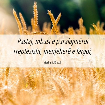 Picture 06 - Marku 1:43 ALB - Pastaj, mbasi e paralajmëroi rreptësisht, - Bible Verse Picture