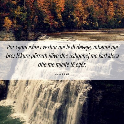 Picture 06 - Marku 1:6 ALB - Por Gjoni ishte i veshur me lesh deveje, mbante - Bible Verse Picture