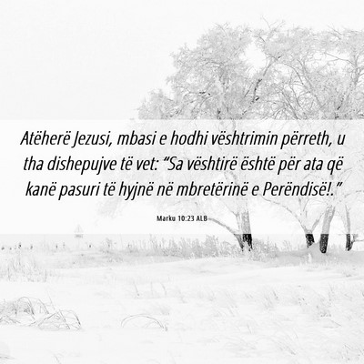 Picture 06 - Marku 10:23 ALB - Atëherë Jezusi, mbasi e hodhi vështrimin - Bible Verse Picture
