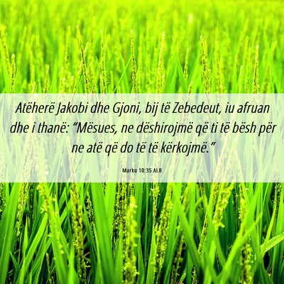 Picture 06 - Marku 10:35 ALB - Atëherë Jakobi dhe Gjoni, bij të Zebedeut, iu - Bible Verse Picture