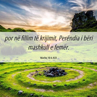 Picture 06 - Marku 10:6 ALB - por në fillim të krijimit, Perëndia i bëri - Bible Verse Picture