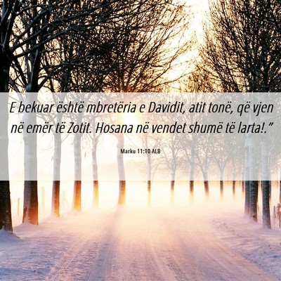 Picture 06 - Marku 11:10 ALB - E bekuar është mbretëria e Davidit, atit - Bible Verse Picture