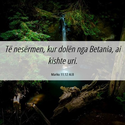 Picture 06 - Marku 11:12 ALB - Të nesërmen, kur dolën nga Betania, ai kishte - Bible Verse Picture