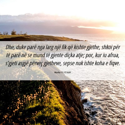 Picture 06 - Marku 11:13 ALB - Dhe, duke parë nga larg një fik që kishte - Bible Verse Picture