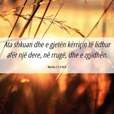 Picture 06 - Marku 11:4 ALB - Ata shkuan dhe e gjetën kërriçin të lidhur - Bible Verse Picture