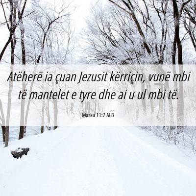 Picture 06 - Marku 11:7 ALB - Atëherë ia çuan Jezusit kërriçin, vunë mbi - Bible Verse Picture