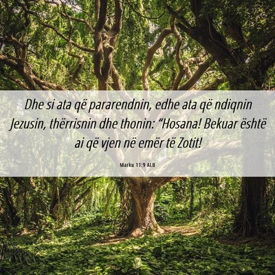 Picture 06 - Marku 11:9 ALB - Dhe si ata që pararendnin, edhe ata që ndiqnin - Bible Verse Picture