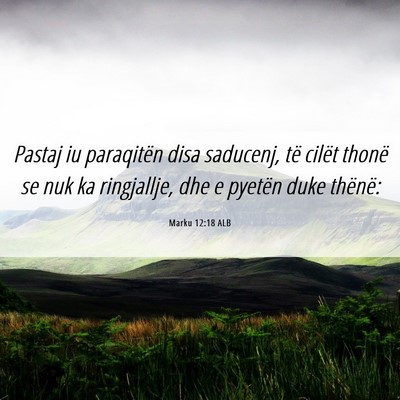 Picture 06 - Marku 12:18 ALB - Pastaj iu paraqitën disa saducenj, të cilët - Bible Verse Picture