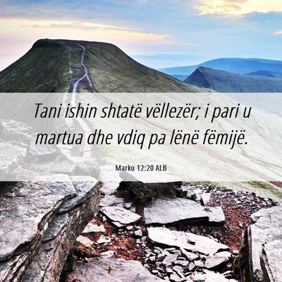Picture 06 - Marku 12:20 ALB - Tani ishin shtatë vëllezër; i pari u martua - Bible Verse Picture