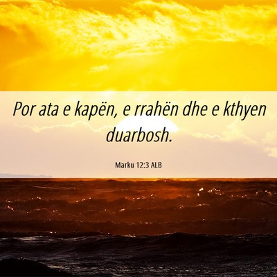 Picture 06 - Marku 12:3 ALB - Por ata e kapën, e rrahën dhe e kthyen - Bible Verse Picture