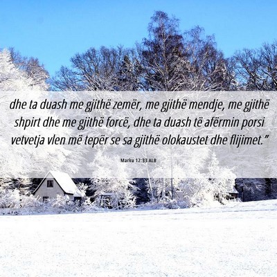 Picture 06 - Marku 12:33 ALB - dhe ta duash me gjithë zemër, me gjithë - Bible Verse Picture