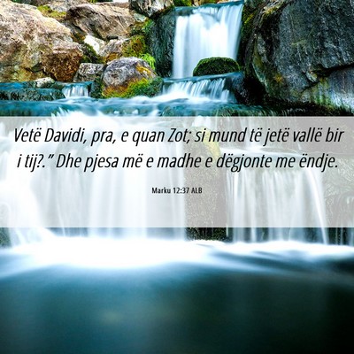 Picture 06 - Marku 12:37 ALB - Vetë Davidi, pra, e quan Zot; si mund të jetë - Bible Verse Picture