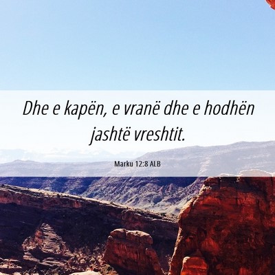Picture 06 - Marku 12:8 ALB - Dhe e kapën, e vranë dhe e hodhën jashtë - Bible Verse Picture