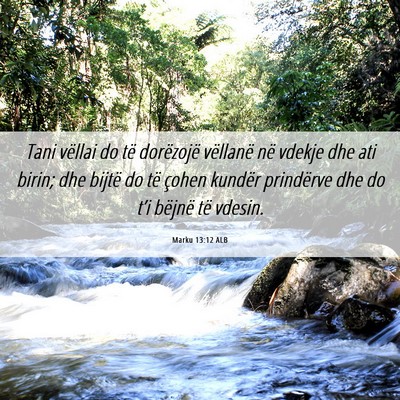 Picture 06 - Marku 13:12 ALB - Tani vëllai do të dorëzojë vëllanë në - Bible Verse Picture