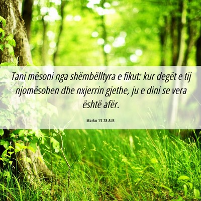 Picture 06 - Marku 13:28 ALB - Tani mësoni nga shëmbëlltyra e fikut: kur - Bible Verse Picture
