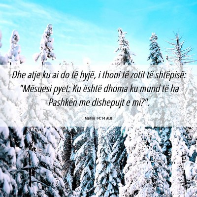 Picture 06 - Marku 14:14 ALB - Dhe atje ku ai do të hyjë, i thoni të zotit - Bible Verse Picture