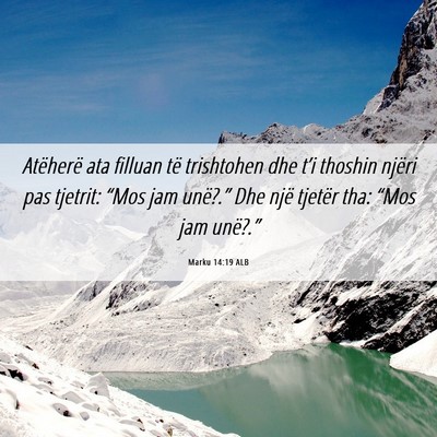 Picture 06 - Marku 14:19 ALB - Atëherë ata filluan të trishtohen dhe t’i - Bible Verse Picture
