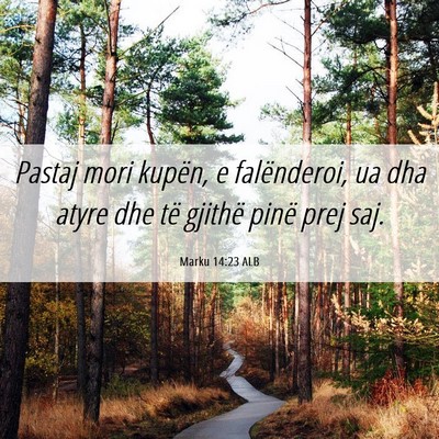 Picture 06 - Marku 14:23 ALB - Pastaj mori kupën, e falënderoi, ua dha atyre - Bible Verse Picture