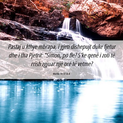 Picture 06 - Marku 14:37 ALB - Pastaj u kthye mbrapa, i gjeti dishepujt duke - Bible Verse Picture