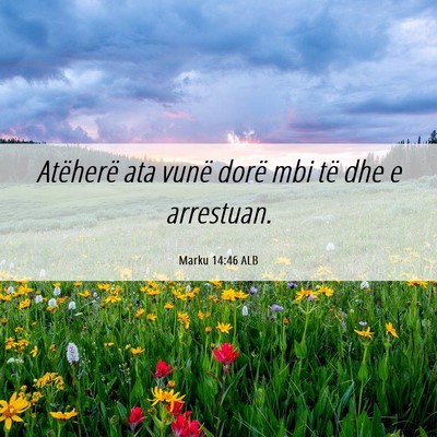 Picture 06 - Marku 14:46 ALB - Atëherë ata vunë dorë mbi të dhe e - Bible Verse Picture