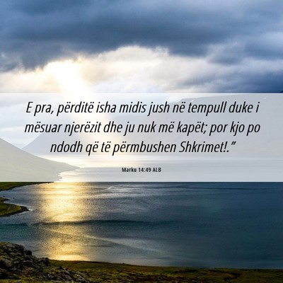 Picture 06 - Marku 14:49 ALB - E pra, përditë isha midis jush në tempull duke - Bible Verse Picture