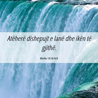 Picture 06 - Marku 14:50 ALB - Atëherë dishepujt e lanë dhe ikën të - Bible Verse Picture