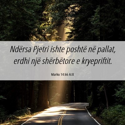 Picture 06 - Marku 14:66 ALB - Ndërsa Pjetri ishte poshtë në pallat, erdhi - Bible Verse Picture