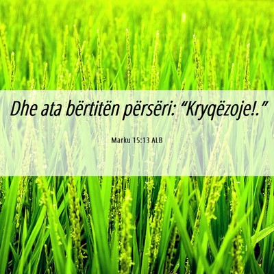 Picture 06 - Marku 15:13 ALB - Dhe ata bërtitën përsëri: - Bible Verse Picture