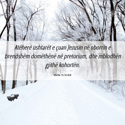 Picture 06 - Marku 15:16 ALB - Atëherë ushtarët e çuan Jezusin në oborrin e - Bible Verse Picture