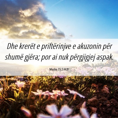Picture 06 - Marku 15:3 ALB - Dhe krerët e priftërinjve e akuzonin për - Bible Verse Picture