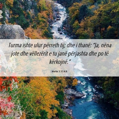 Picture 06 - Marku 3:32 ALB - Turma ishte ulur përreth tij; dhe i thanë: - Bible Verse Picture