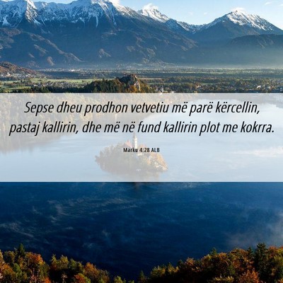 Picture 06 - Marku 4:28 ALB - Sepse dheu prodhon vetvetiu më parë kërcellin, - Bible Verse Picture
