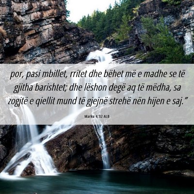 Picture 06 - Marku 4:32 ALB - por, pasi mbillet, rritet dhe bëhet më e madhe - Bible Verse Picture