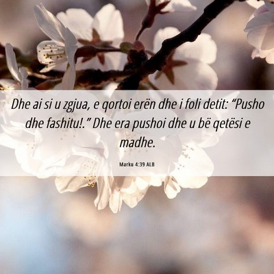Picture 06 - Marku 4:39 ALB - Dhe ai si u zgjua, e qortoi erën dhe i foli - Bible Verse Picture