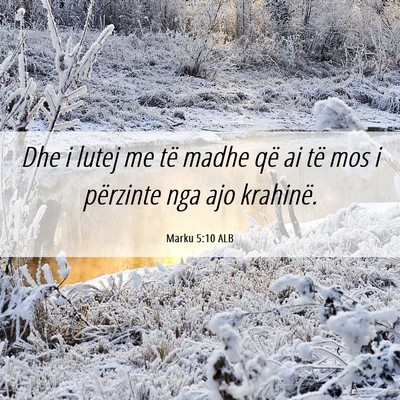 Picture 06 - Marku 5:10 ALB - Dhe i lutej me të madhe që ai të mos i - Bible Verse Picture