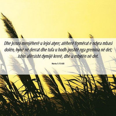 Picture 06 - Marku 5:13 ALB - Dhe Jezusi menjëherë u lejoi atyre; atëherë - Bible Verse Picture