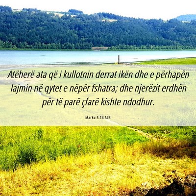Picture 06 - Marku 5:14 ALB - Atëherë ata që i kullotnin derrat ikën dhe e - Bible Verse Picture