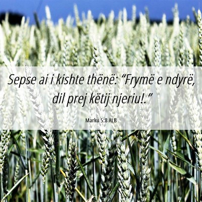 Picture 06 - Marku 5:8 ALB - Sepse ai i kishte thënë: “Frymë e ndyrë, - Bible Verse Picture