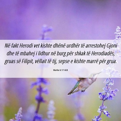 Picture 06 - Marku 6:17 ALB - Në fakt Herodi vet kishte dhënë urdhër të - Bible Verse Picture