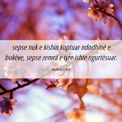 Picture 06 - Marku 6:52 ALB - sepse nuk e kishin kuptuar ndodhinë e bukëve, - Bible Verse Picture