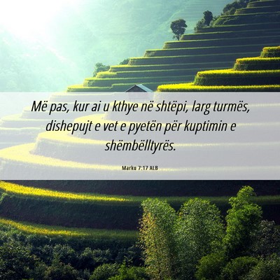 Picture 06 - Marku 7:17 ALB - Më pas, kur ai u kthye në shtëpi, larg - Bible Verse Picture
