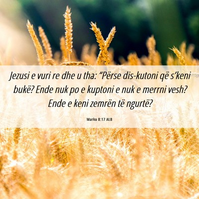 Picture 06 - Marku 8:17 ALB - Jezusi e vuri re dhe u tha: “Përse dis-kutoni - Bible Verse Picture
