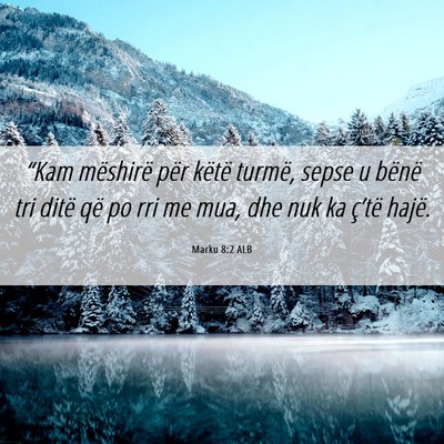 Picture 06 - Marku 8:2 ALB - “Kam mëshirë për këtë turmë, sepse u - Bible Verse Picture