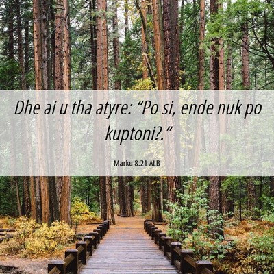 Picture 06 - Marku 8:21 ALB - Dhe ai u tha atyre: “Po si, ende nuk po - Bible Verse Picture
