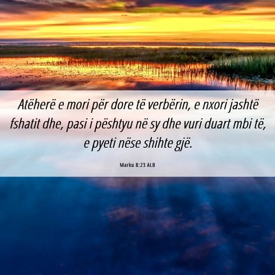 Picture 06 - Marku 8:23 ALB - Atëherë e mori për dore të verbërin, e nxori - Bible Verse Picture