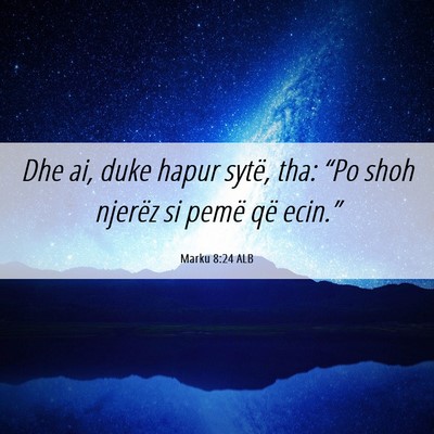 Picture 06 - Marku 8:24 ALB - Dhe ai, duke hapur sytë, tha: “Po shoh njerëz - Bible Verse Picture